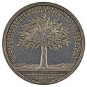 Silver medal depicting an orange tree filled with leaves