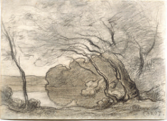 Charcoal and brown chalk drawing of windswept trees at the edge of a pond. 
