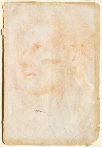 Red chalk faint drawing of the head of a man facing up and to the left in three-quarter view. 