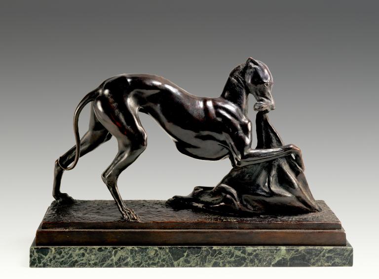 Whippet