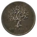 Bronze medal of a bare tree