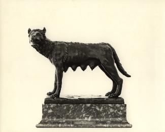 Bronze sculpture of a she-wolf.  Her head is turned to the left.