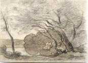 Charcoal and brown chalk drawing of windswept trees at the edge of a pond. 