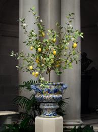 Porcelain lemon tree in an ornamented planter