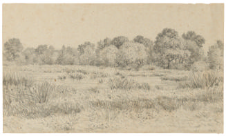 Graphite drawing of a marshy landscape with short grasses in the foreground and woods in the di…