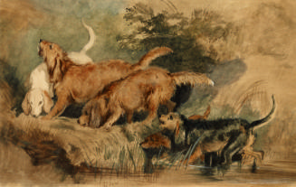 Watercolor image of five dogs in creek